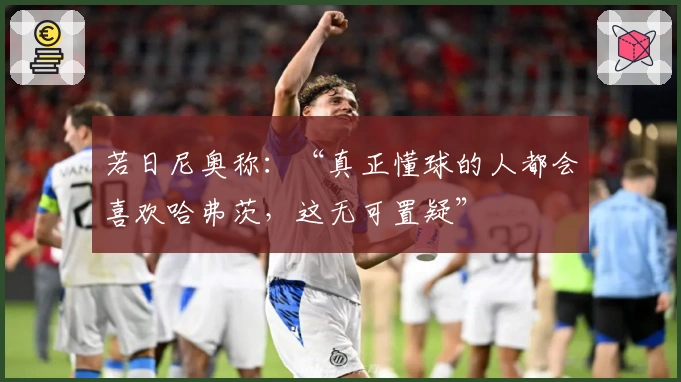 若日尼奥称：“真正懂球的人都会喜欢哈弗茨，这无可置疑”